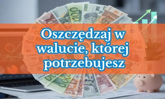 Ranking lokat – jak oszczędzać pieniądze i uniknąć złych decyzji finansowych